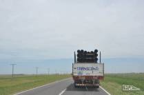 De volta às estradas argentinas, agora cruzando as infinitas planícies da região dos Pampas, entre Tandil e Bahia Blanca